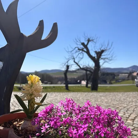 Appartement -am Fuss Zum Zittauer Gebirge- Hainewalde