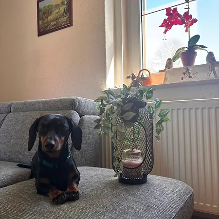 Appartement -am Fuss Zum Zittauer Gebirge- *